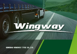 Wingway Tyre 2017